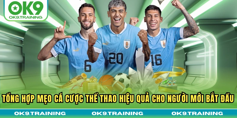 Tổng Hợp Mẹo Cá Cược Thể Thao Hiệu Quả Cho Người Mới Bắt Đầu 1 Tổng Hợp Mẹo Cá Cược Thể Thao Hiệu Quả Cho Người Mới Bắt Đầu