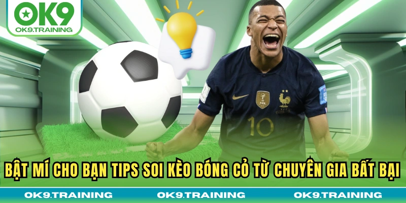 Bật Mí Cho Bạn Tips Soi Kèo Bóng Cỏ Từ Chuyên Gia Bất Bại 20 Bật Mí Cho Bạn Tips Soi Kèo Bóng Cỏ Từ Chuyên Gia Bất Bại
